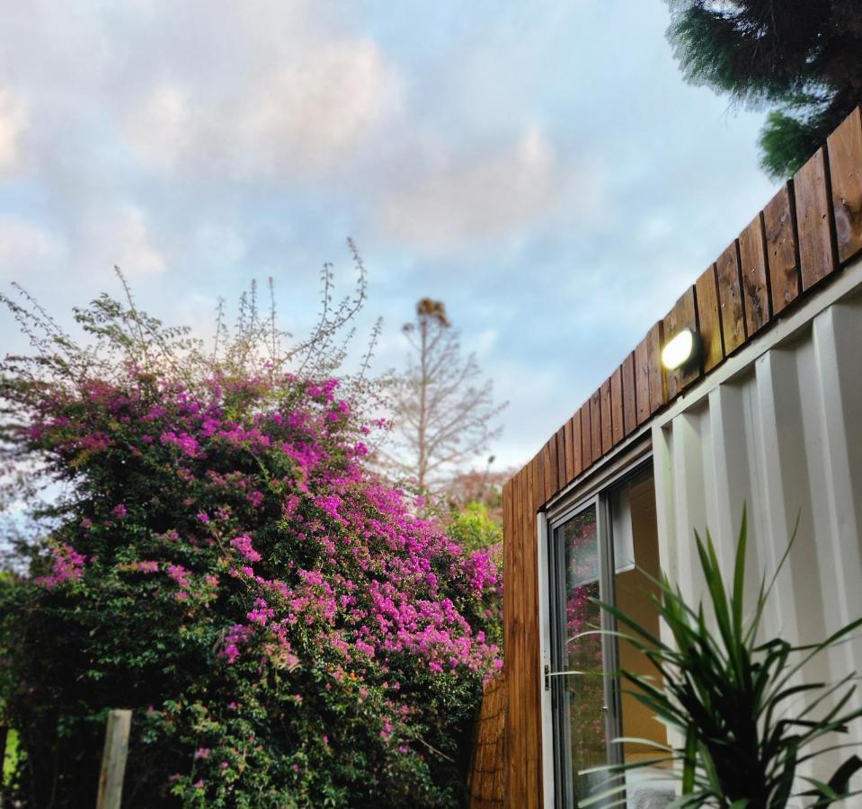 Casa L Hotel I Punta Del Este Exterior photo